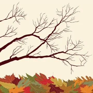 Bare branches with fallen leaves 库存插图