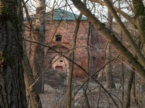 Bare branches frame a crumbling brick structure Stock Photos