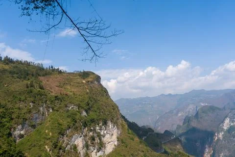 Bare branches frame a steep, green cliffside Stock Photos