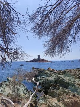 Bare branches framing a stone tower on a rocky island in the sea Photos