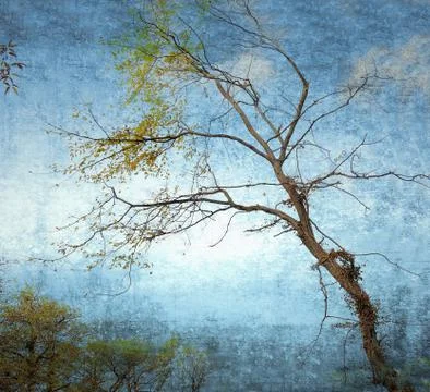 Bare branches on grunge sky background Stock Illustration