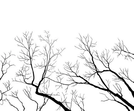 Bare branches Иллюстрация
