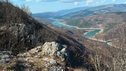 Bare branches lean against the earthy slope. Balkan, Eastern Europe, POV Vidéo 331814558