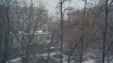 Bare Branches of Tree Blowing in the Wind in the Background of typical Krushchov 動画素材 103615083