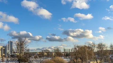 Bare branches of trees against the blue sky with clouds. Nature conservation. Stock Photos