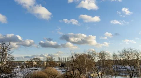 Bare branches of trees against the blue sky with clouds. Nature conservation. 写真素材