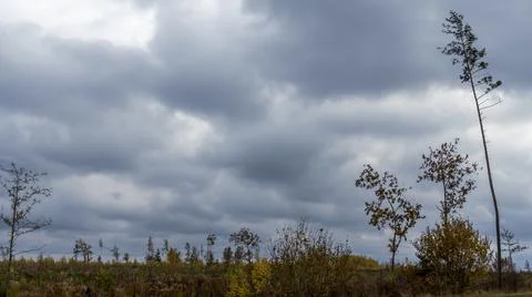 Bare branches of trees against the dramatic cloudy sky. Nature conservation. Stock Photos