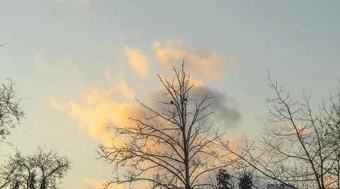 Bare branches of trees against the dramatic cloudy sky. Nature conservation. Stock Photos