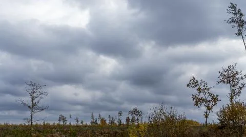 Bare branches of trees against the dramatic cloudy sky. Nature conservation. Stock Photos