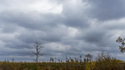 Bare branches of trees against the dramatic cloudy sky. Nature conservation. Stock Photos
