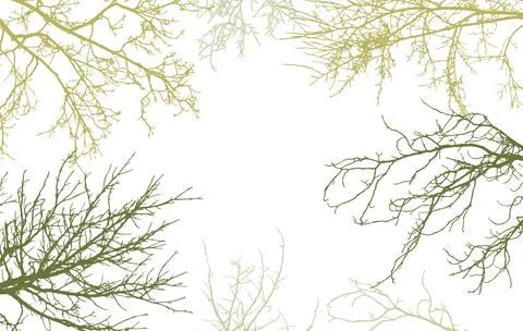 Bare branches of trees silhouette, background. Vector illustration Stockillustratie