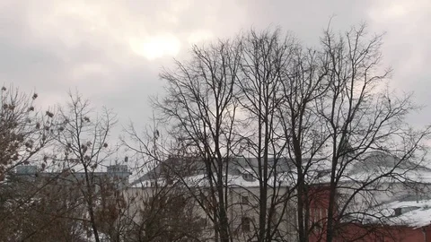 Bare branches of trees swaying in the wind against a gray autumn sky Stock Footage 70401745