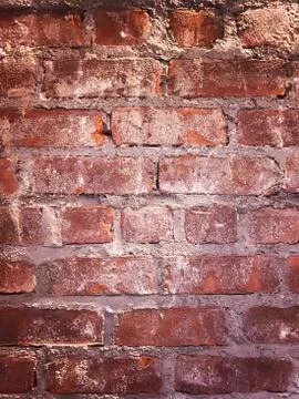 Bare bright red brick wall unfinished and unpainted 写真素材
