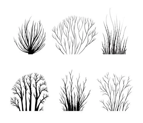 Bare bushes Stock Illustration