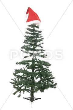 The bare christmas tree ready to decorate Stock Photos