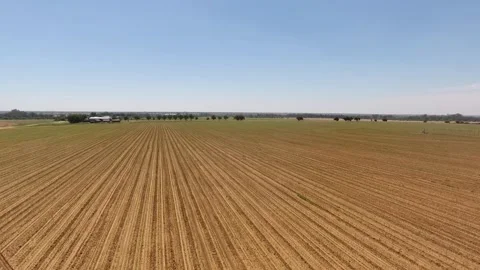 Bare crop fields before any crops has been planted on an irrigation farm Stock Footage 243766722