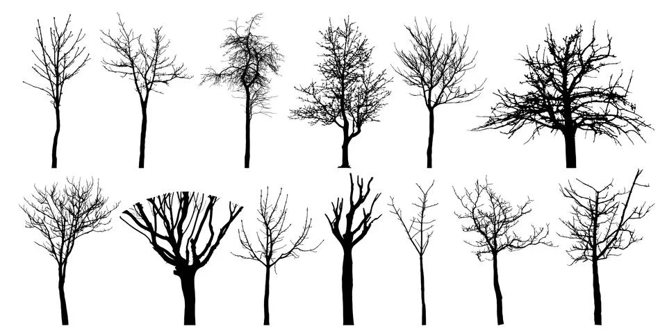 Bare different trees, set of silhouettes. Vector illustration. Illustrazione stock