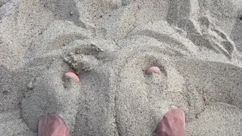 Bare Feet Covered with Sand on Summer Beach After Sea Waves Stock Footage 340517866