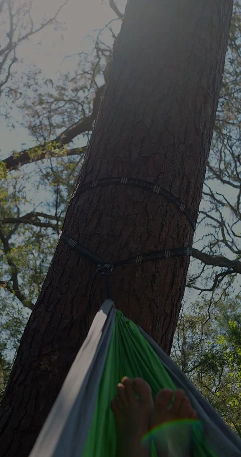 Bare Feet Dangling From Green Hammock Tied Between Trees... Stock Footage 331820895