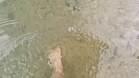Bare feet making ripples while walking in clear shallow water Stock Footage 317520189