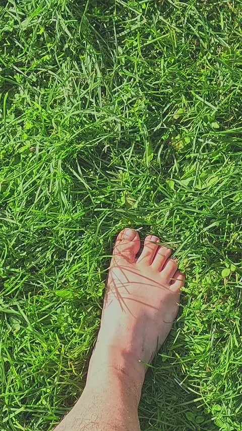 Bare feet resting and moving on lush green summer grass Stock Footage 318177701