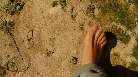 Bare feet step on dry soil and rare plants and shadows from trees, super Stock Footage 81656183