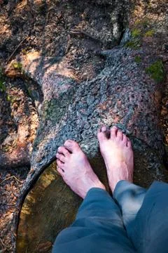 Bare feet on a tree tree in a forest Foto stock