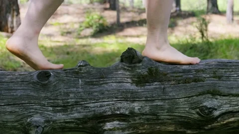 Bare feet walk on a log in the forest. Relax Stock Footage 153067419