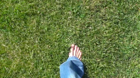 Bare feet walking on grass Stock Footage 56140100
