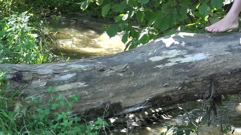 Bare feet walking on tree trunk over mountain river. Close up of soles  Vidéo 46211804