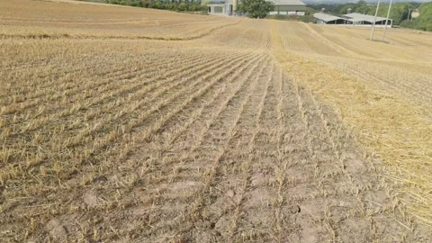 Bare fields after grain harvest, England, UK Stock Footage 314837165