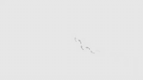 Bare foot prints cross Human step footprint animation Leaving feet wet Stock Footage 238388799