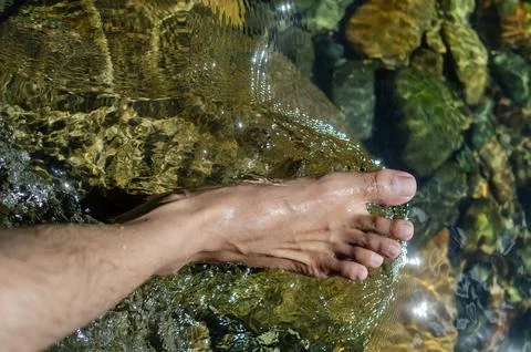 Bare Foot Stepping into Clear River Water over Smooth Stones Stock Photos