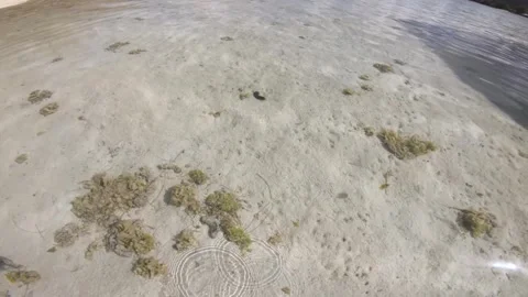 Bare foot walking in the shallow lagoon look down to crystal clear water with se Stock Footage 250402242