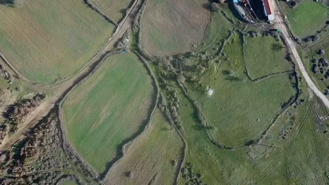 Bare green lands aerial view, su01 Stock Footage 106492344