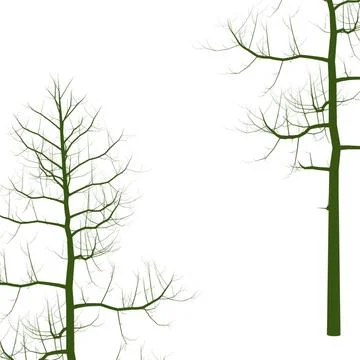 Bare Green Tree Branch Illustrations on White Stock Illustration