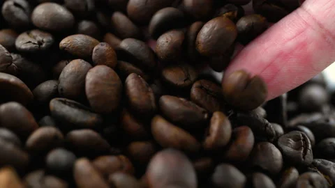 Bare hand selecting and screening of roasted coffee bean Stock Footage 158936942