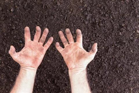 Bare hands with clenched expression over bare soil Stock Photos