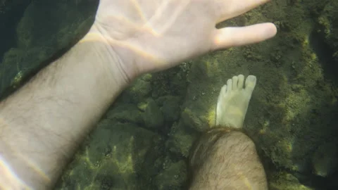 Bare human foot in clear ocean water, stepping carefully on rocks and algae Stock Footage 343547766
