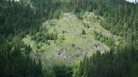 Bare land on tree filled mountain with sun and clouds moving in changing light Stock Footage 284389909