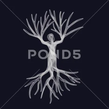 A bare, leafless tree with a white trunk in the shape of a human body PSD Template