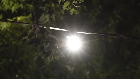 A bare light bulb hanging at an open air festival Stock Footage 144481835