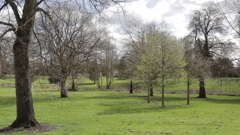 Bare, Lonely Trees in Lichfield park wait for blooming Spring 库存影片 73497015