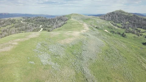 Bare Ridgeline and Alpine Meadows in Uinta Mountains Utah Stock Footage 338355949