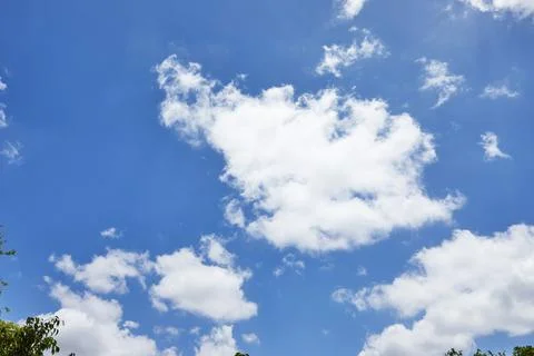 Bare sky texture with clouds and greenery below background Stock Photos