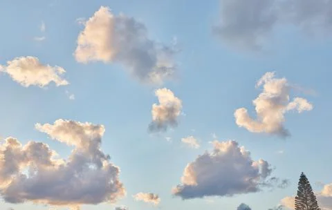 Bare sky texture with clouds and greenery below background Stock Photos