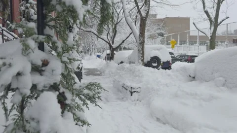 Bare Snow-Laden Trees Line Brooklyn Sidewalk, Winter Blizzard Video stock 329888721