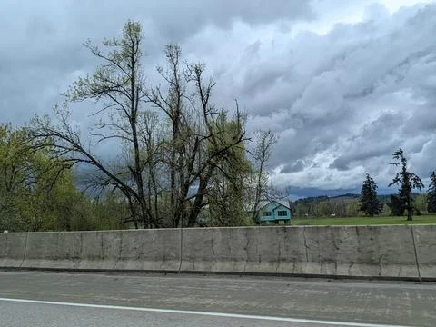 Bare spring trees rising behind a concrete highway barrier Stock Photos
