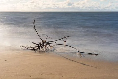 Bare tore surrounded by etheral water droplets by the sea Stock Photos