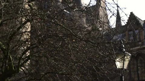 Bare tree against cathedral, Glasgow, Scotland, UK Stock-Footage 155054554
